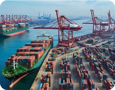 Các mặt hàng phổ biến được nhập khẩu chính ngạch tại Việt Nam